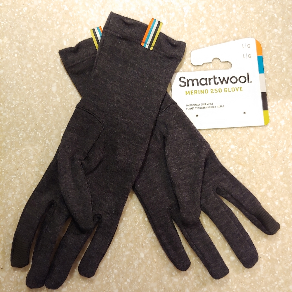 Smartwool Men's 250 Gloves